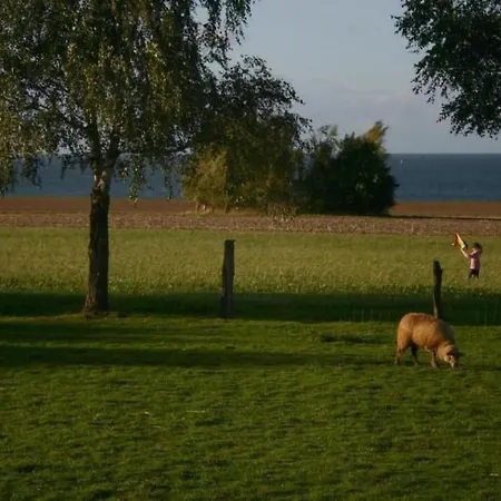 Hébergement de vacances Mit Meerblick - Direkt An Der Ostsee By Interhome