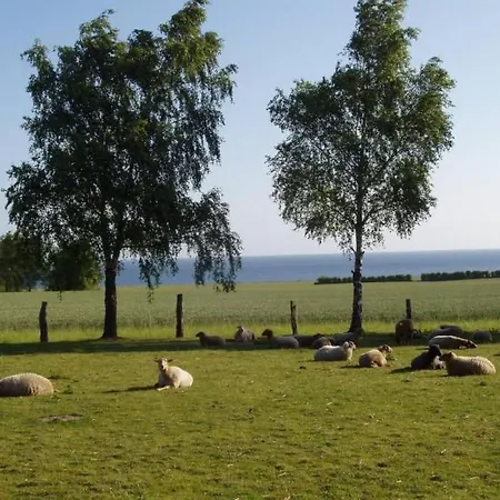 Mit Meerblick - Direkt An Der Ostsee By Interhome * Hohenfelde (Plon)